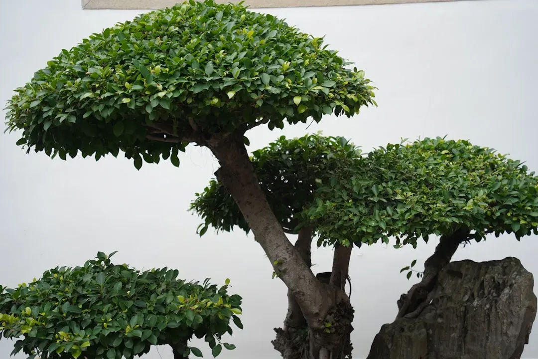 LEGO Bonsai Tree branch structure with articulated joints and detailed green leaf clusters in close-up detail