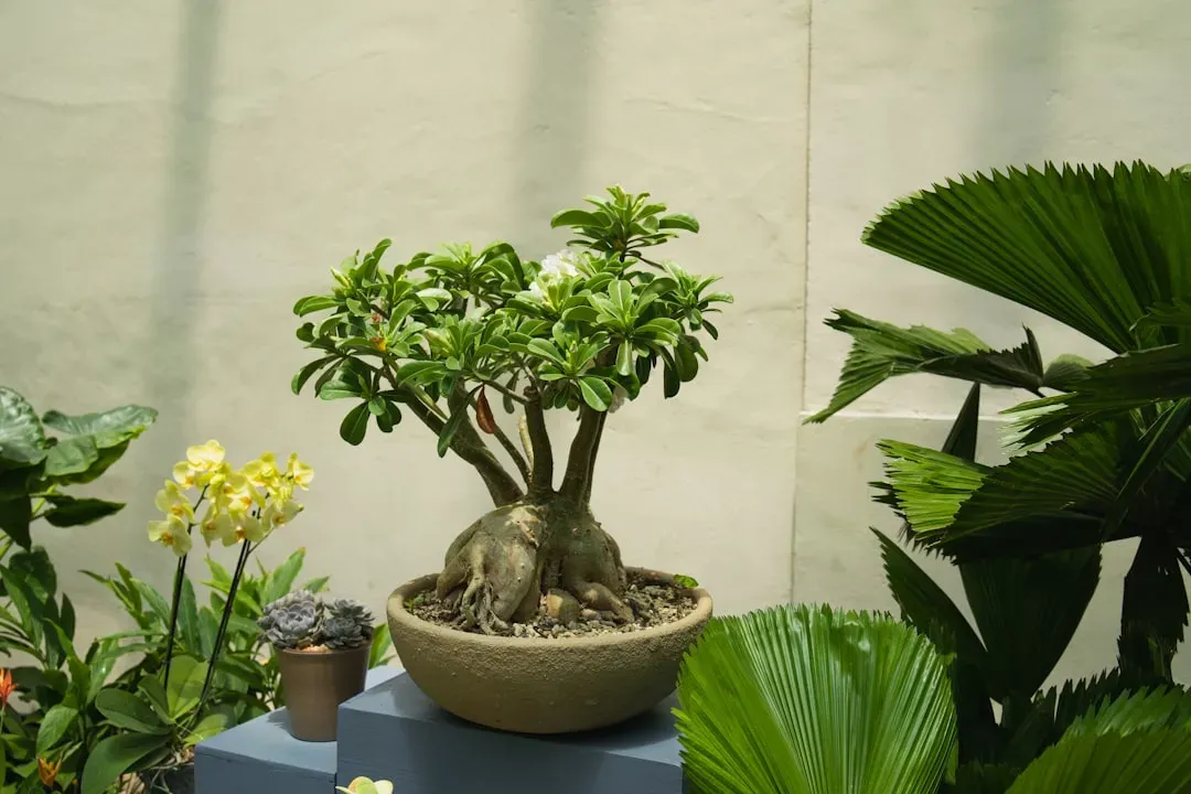 Group of people gathered around instructor demonstrating bonsai techniques at casual workshop event in garden center setting