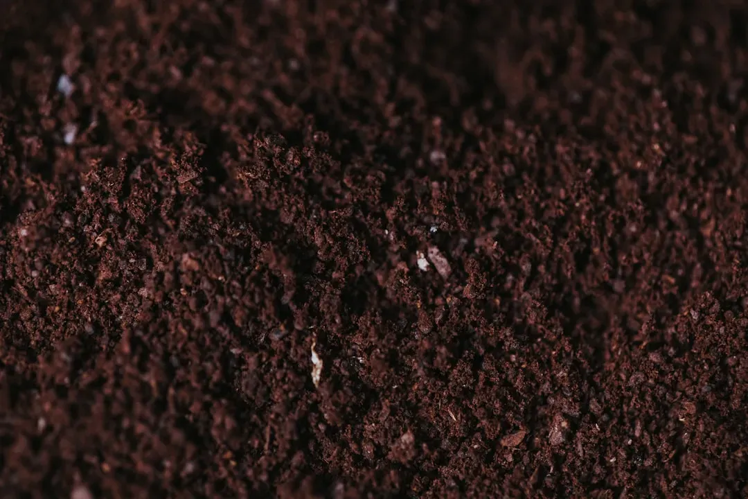 Close-up of well-draining bonsai soil in shallow pot showing granules and organic material for proper tree care