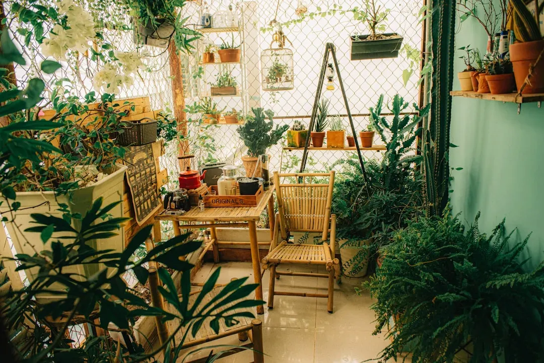 Serene bonsai nursery interior with rows of miniature trees on wooden shelves under natural light, displaying various species