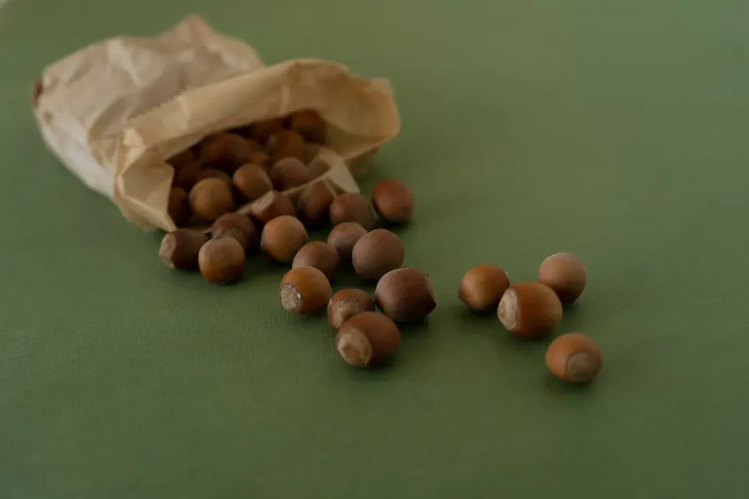 Various bonsai seeds in glass containers and labeled packets displaying different seed sizes and colors for growing bonsai fr