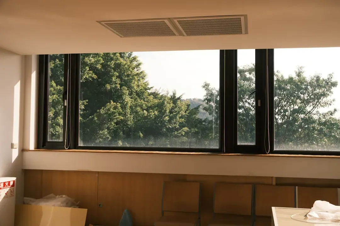 Healthy indoor bonsai tree with lush green foliage on windowsill receiving natural sunlight, demonstrating proper care techni